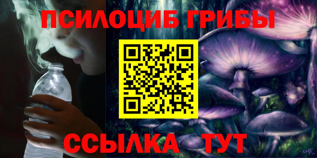 Псилоцибиновые грибы MAGIC MUSHROOMS  Псилоцибиновые грибы мицелий  Вход с VPN  дарнет шоп  Йошкар-Ола 